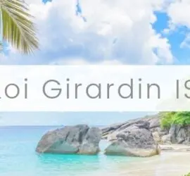 Loi Girardin Société (IS)