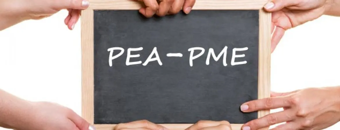 PEA PME : les caractéristiques utile à connaitre avant d’investir