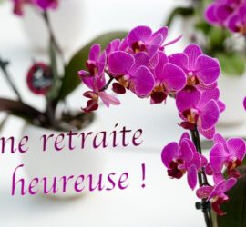 La retraite - https://patrimoinexperts.net